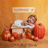 Artificial Harvest Halloween Pumpkins 7 PCS in Assorted Sizes D007 | Decorative Add-ons | Orange